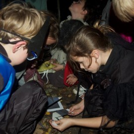 DSC 0378 - Scouts en Gidsen Zaventem 